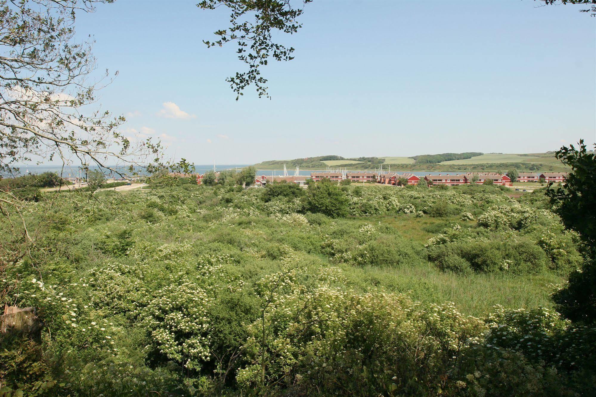 למביג Hotelvfjorden מראה חיצוני תמונה